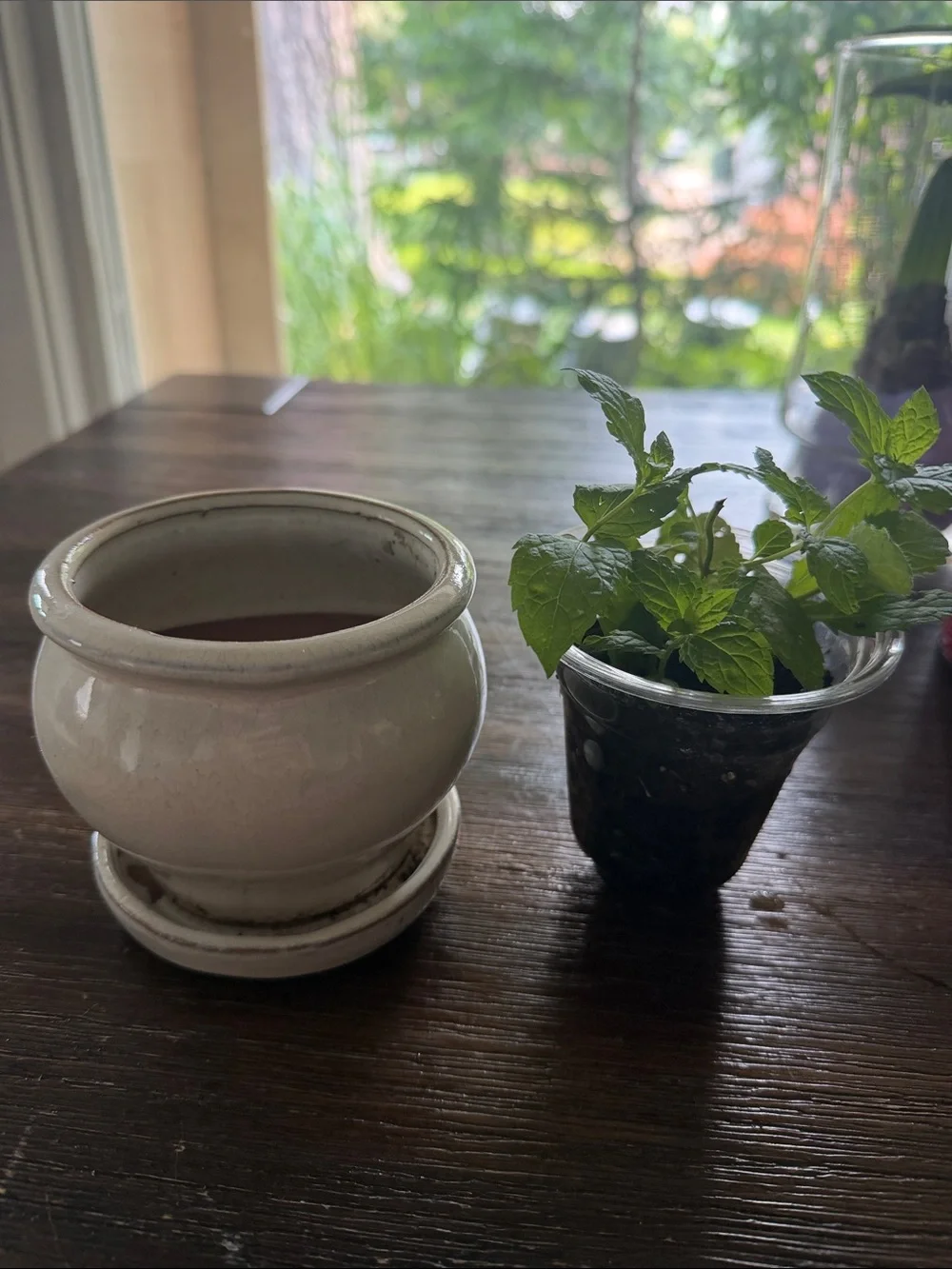 Classic Cream Ceramic Planter with Saucer - plate Home Accents